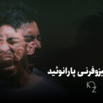 آشنایی با علائم اسکیزوفرنی پارانوئید
