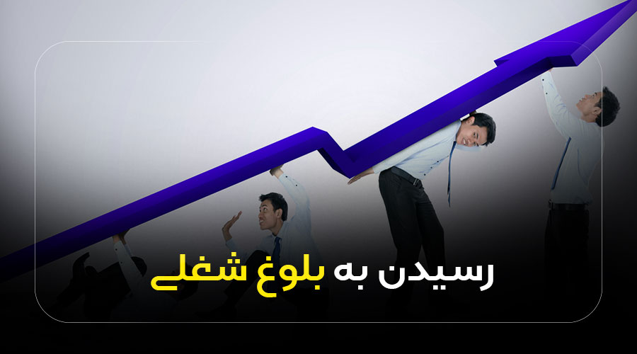 رسیدن به بلوغ شغلی