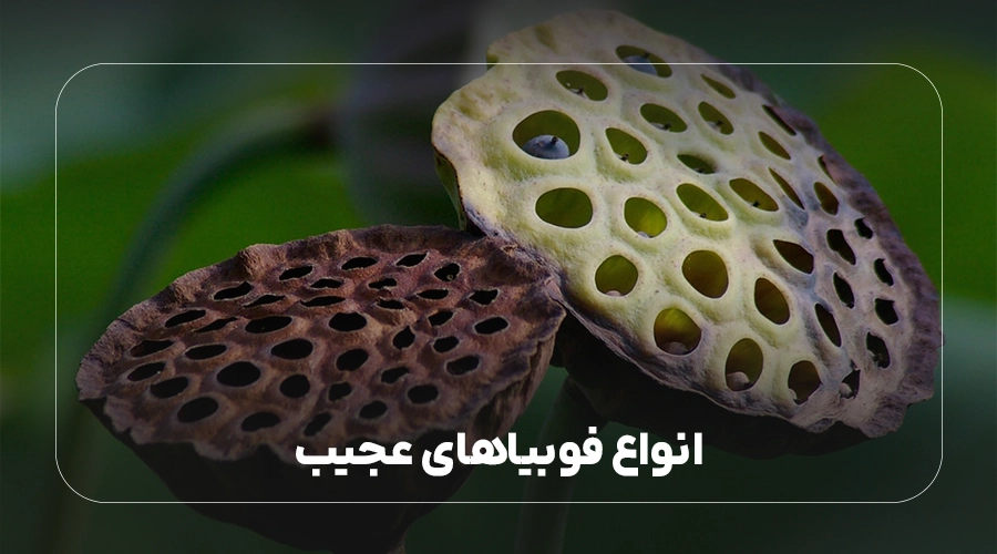 انواع فوبیاهای عجیب