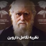 نظریه تکامل داروین