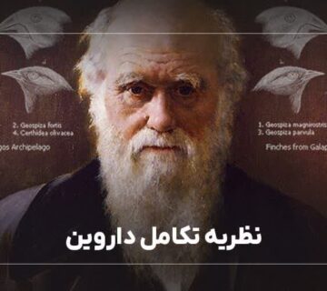 نظریه تکامل داروین