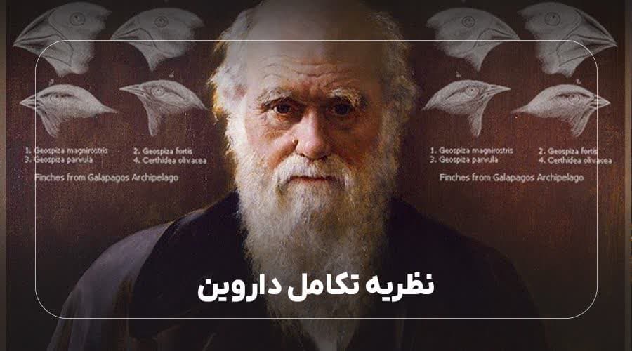 نظریه تکامل داروین