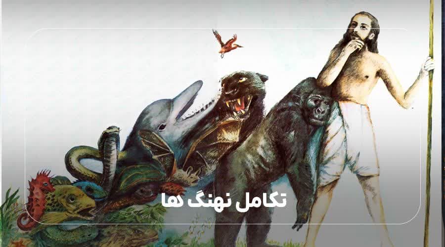 تکامل نهنگ ها