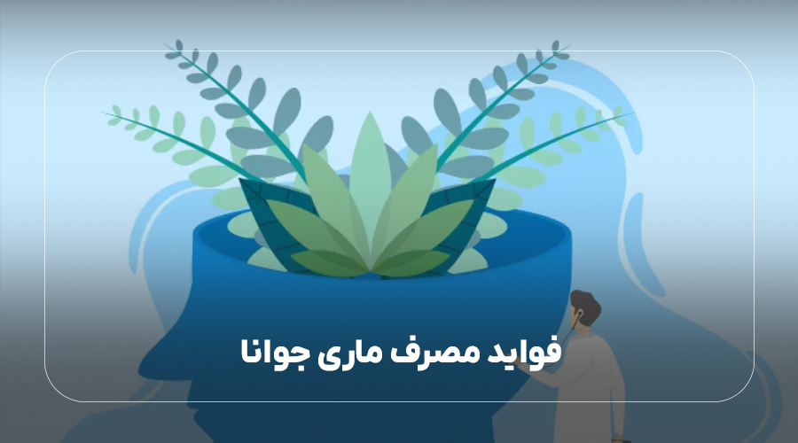 فواید مصرف ماری جوانا